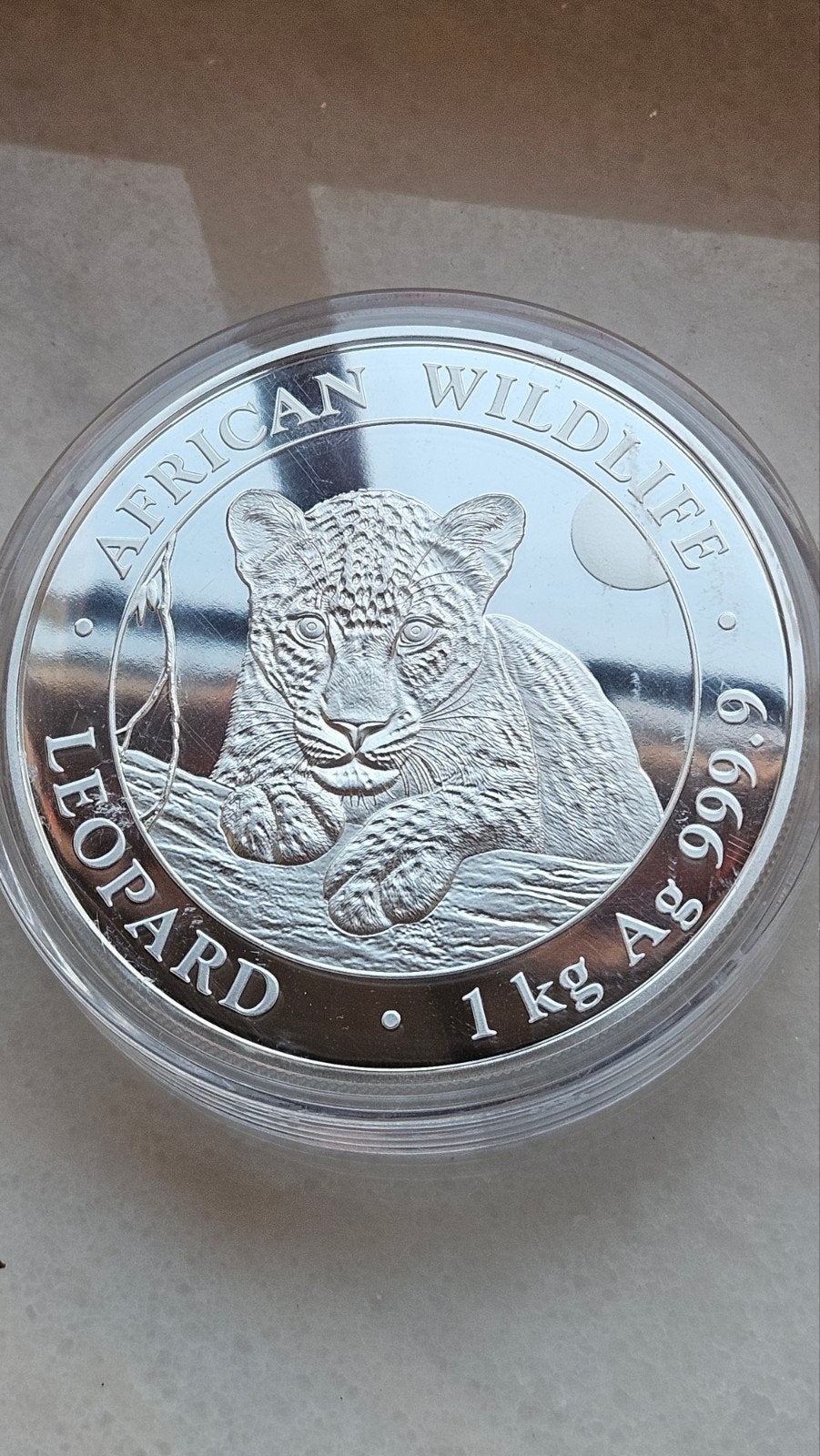 1 kilo 999 zilver somalie leopard 2025, Postzegels en Munten, Edelmetalen en Baren, Ophalen of Verzenden, Zilver