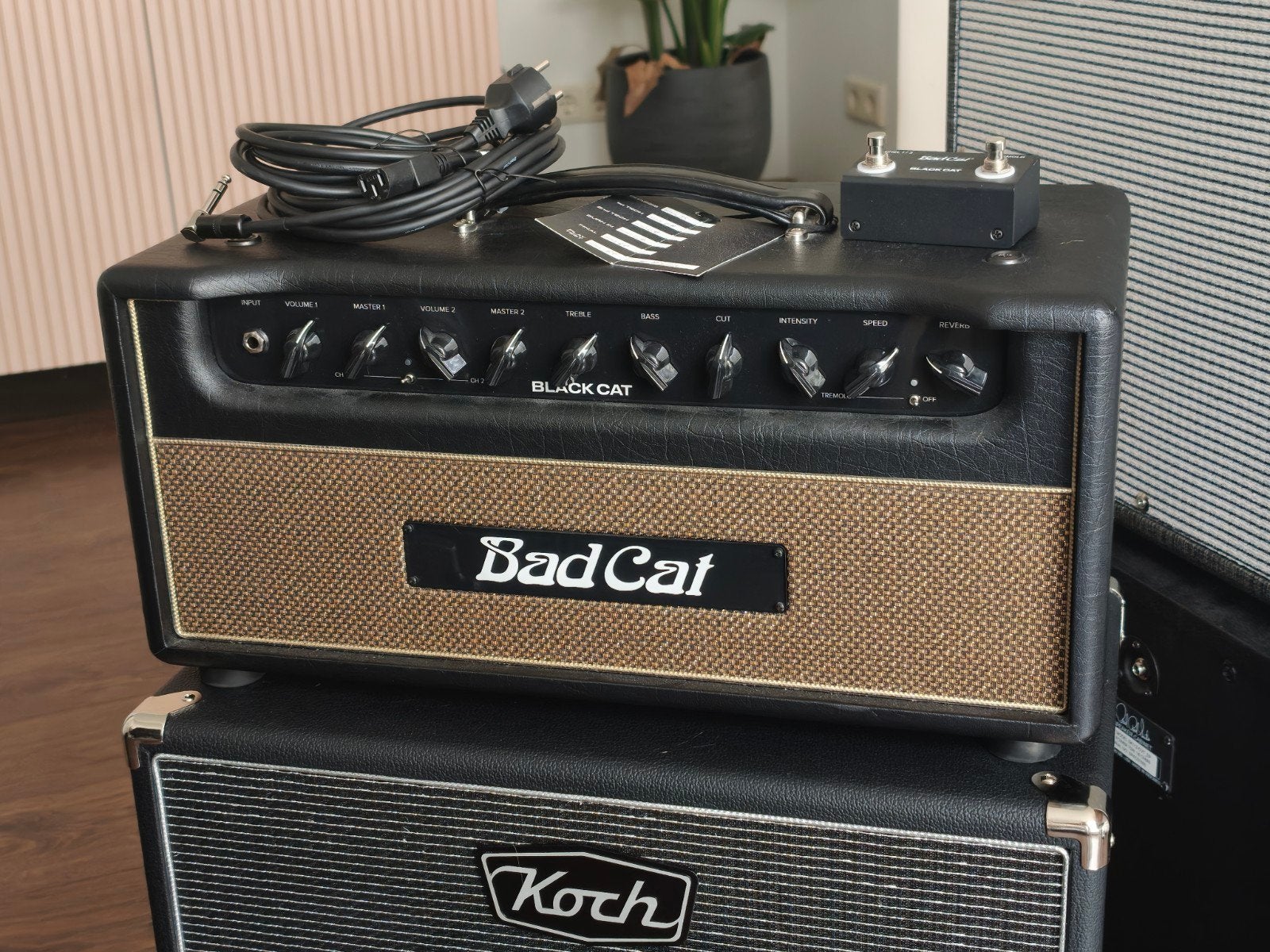Bad Cat Black Cat 20 head, Muziek en Instrumenten, Ophalen, Zo goed als nieuw, Gitaar, Minder dan 50 watt