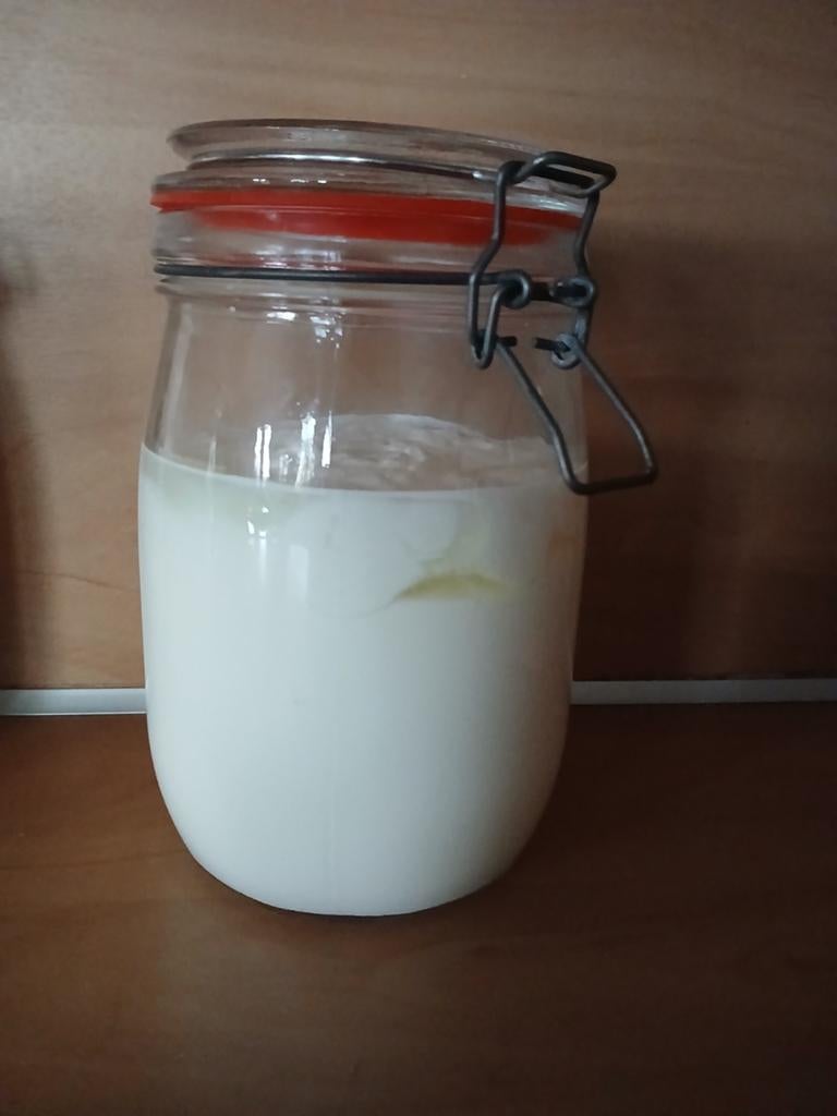 Melk kefir korrels - 50 gram, Ophalen of Verzenden