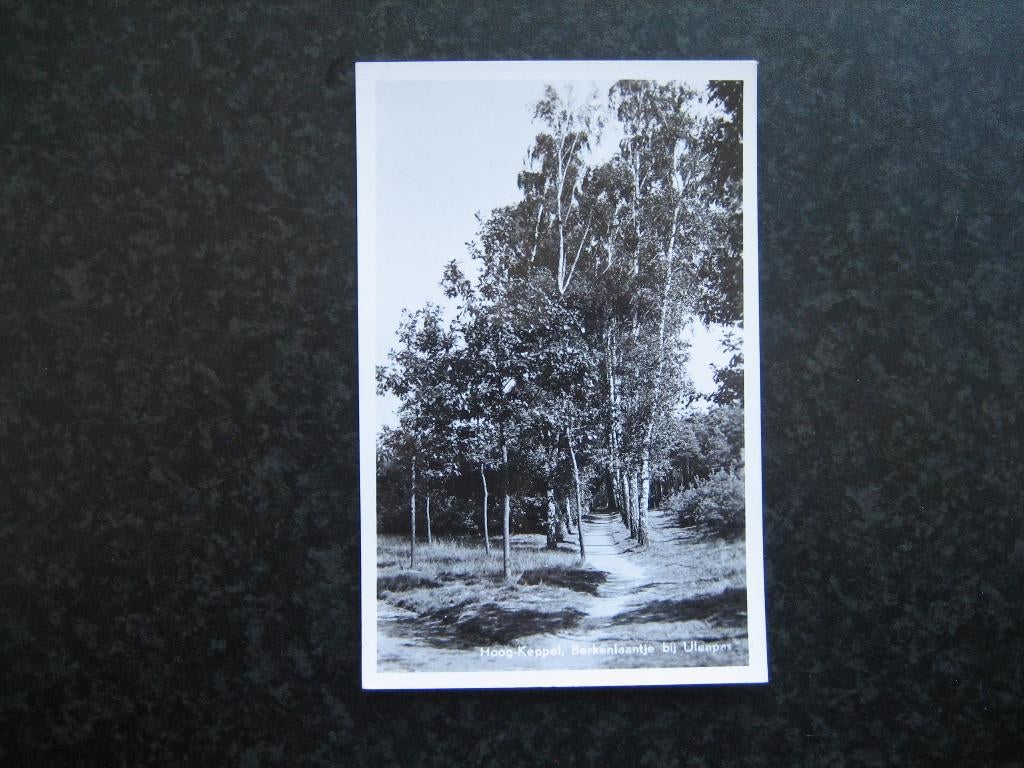 KEPPEL  HOOG  Berkenlaantje bij Ulenpas 1979, Ophalen of Verzenden, 1960 tot 1980, Gelderland