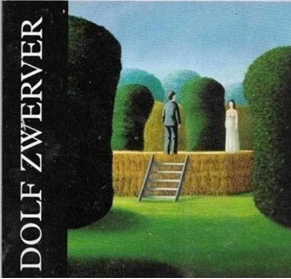 Dolf Zwerver, Ophalen of Verzenden, Zo goed als nieuw, Schilder- en Tekenkunst