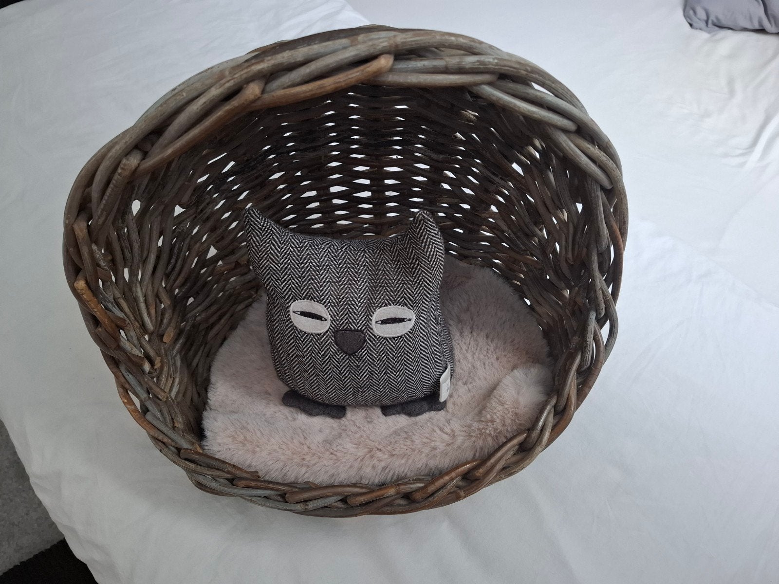 decoratieve   gezellige mand voor je kat, Ophalen