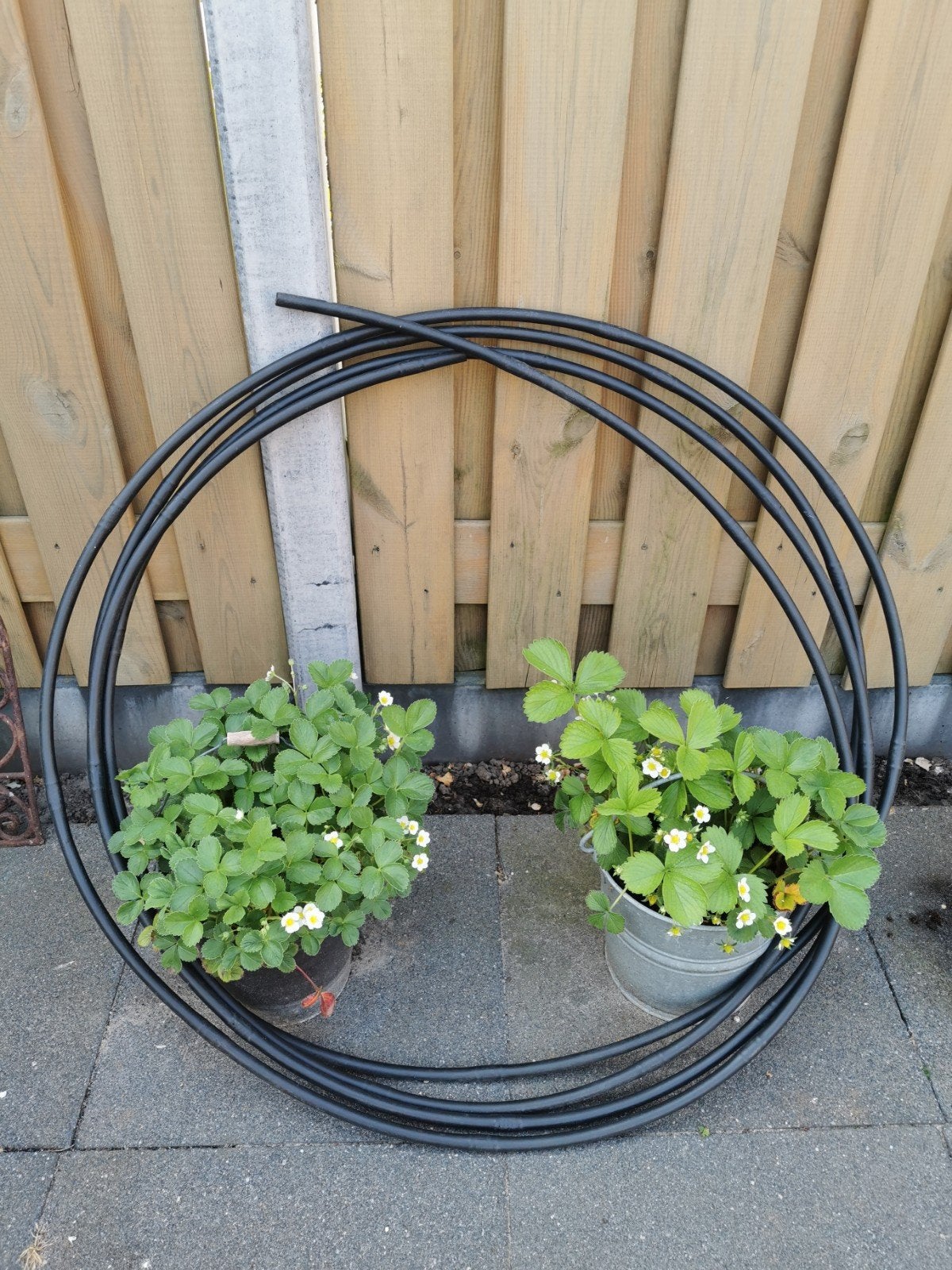 Druppelslang, Tuin en Terras, Tuinslangen, Ophalen, Tuinslang