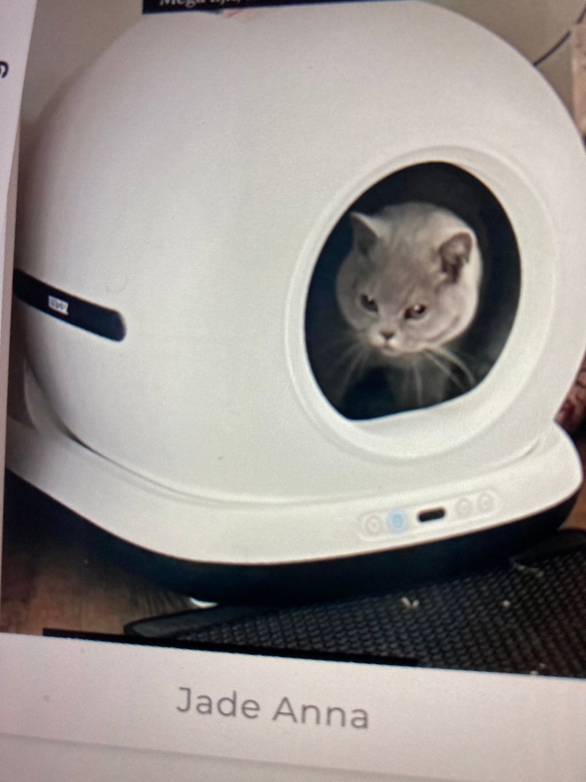 Automatisch zelfreinigende kattenbak, Ophalen, Zelfreinigend, Zo goed als nieuw