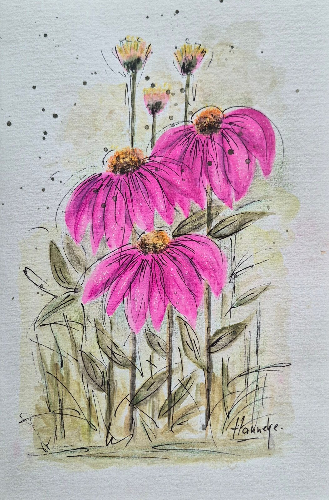 Bloemen Enchinecea., Ophalen of Verzenden, Schilderij, Aquarel, Achter glas