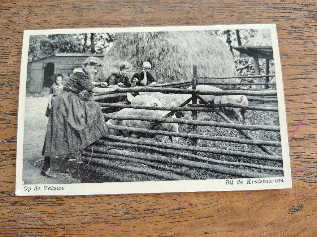 Op de veluwe bij de krulstaarten, Ophalen of Verzenden, 1940 tot 1960, Gelderland