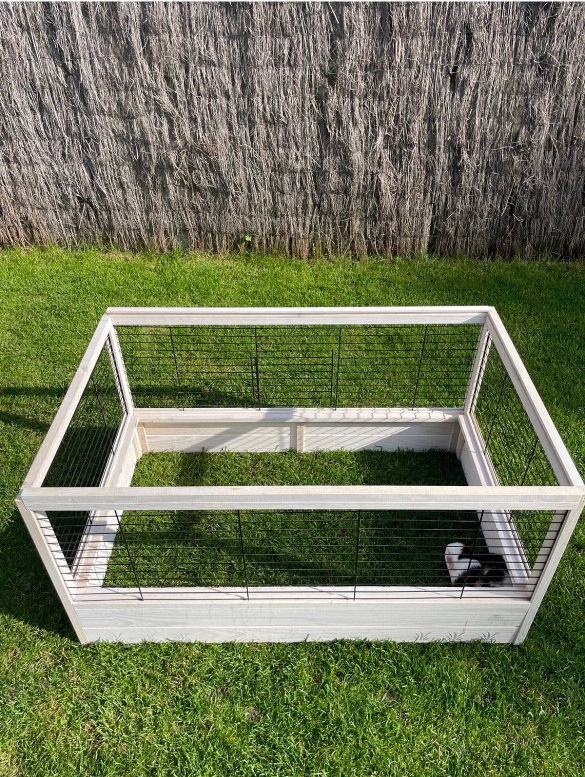 Caviahok / konijnenhok, Dieren en Toebehoren, Cavia, Zo goed als nieuw, Hok, 75 tot 110 cm