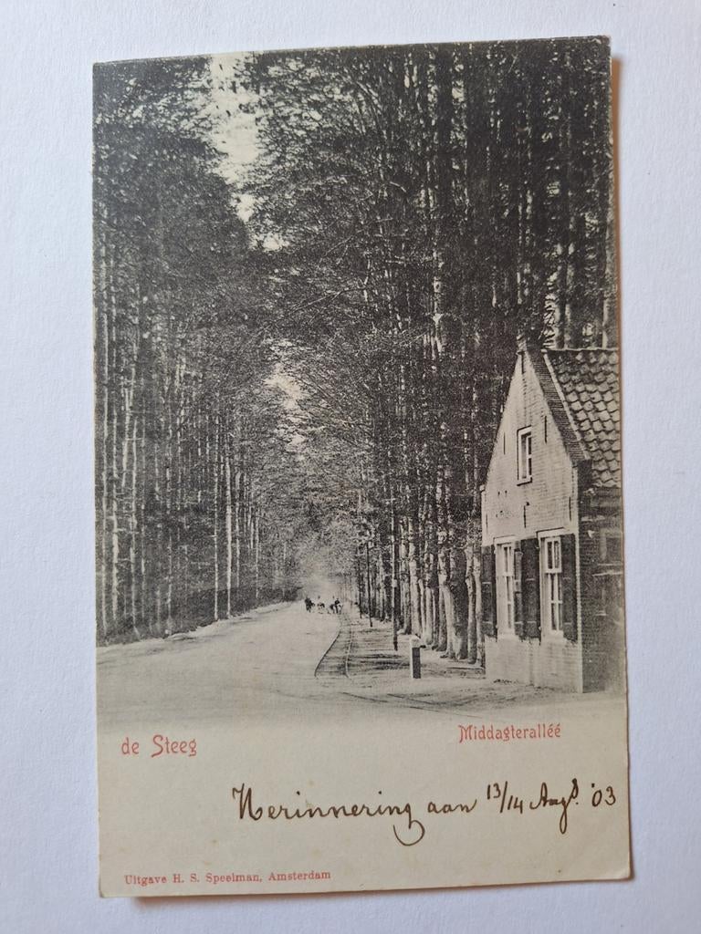 De Steeg, Ophalen of Verzenden, Gelderland