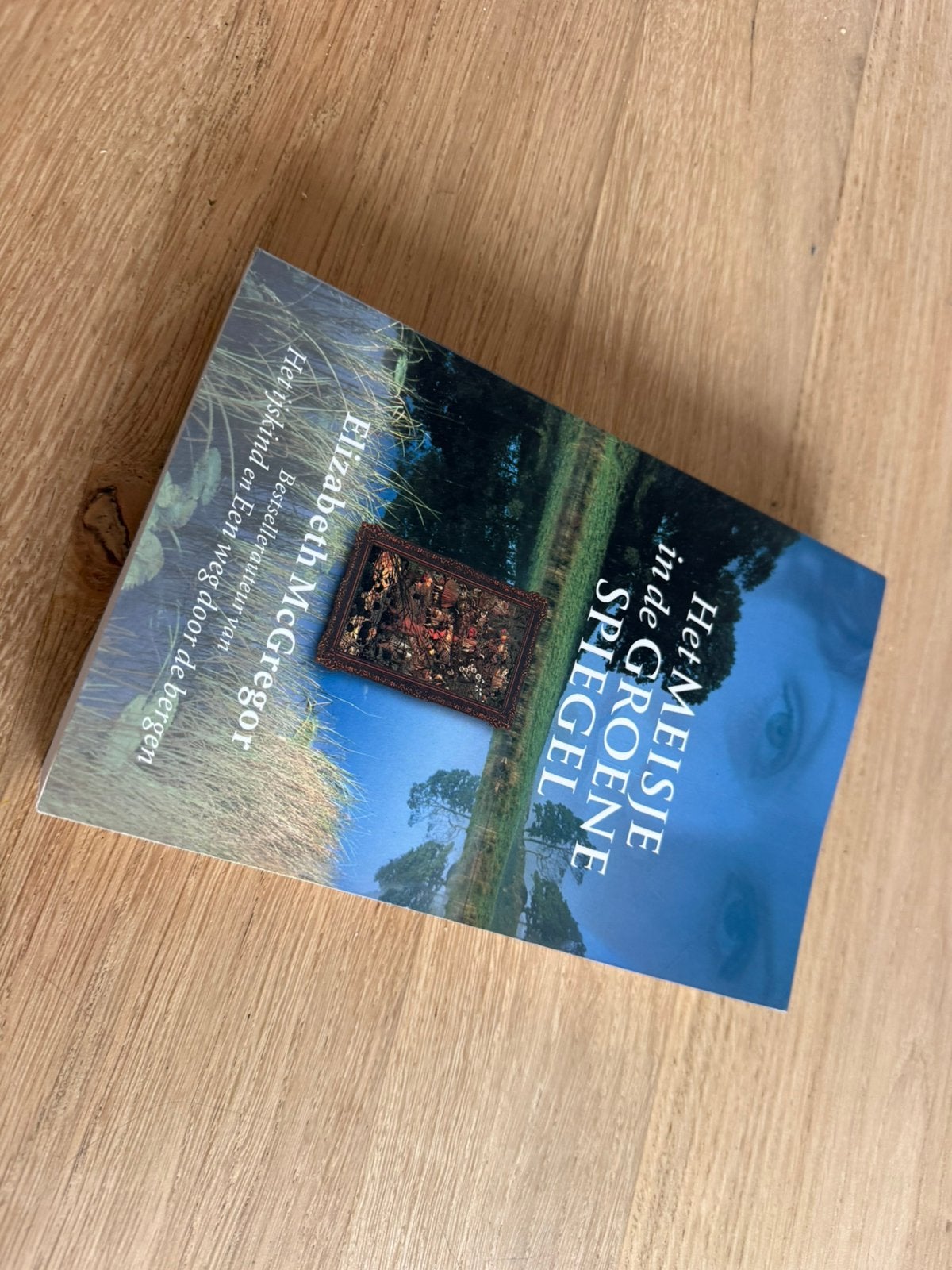 Gratis afhalen E. MacGregor Het meisje in de groene spiegel, Boeken, Romans, E. MacGregor, Ophalen, Gelezen