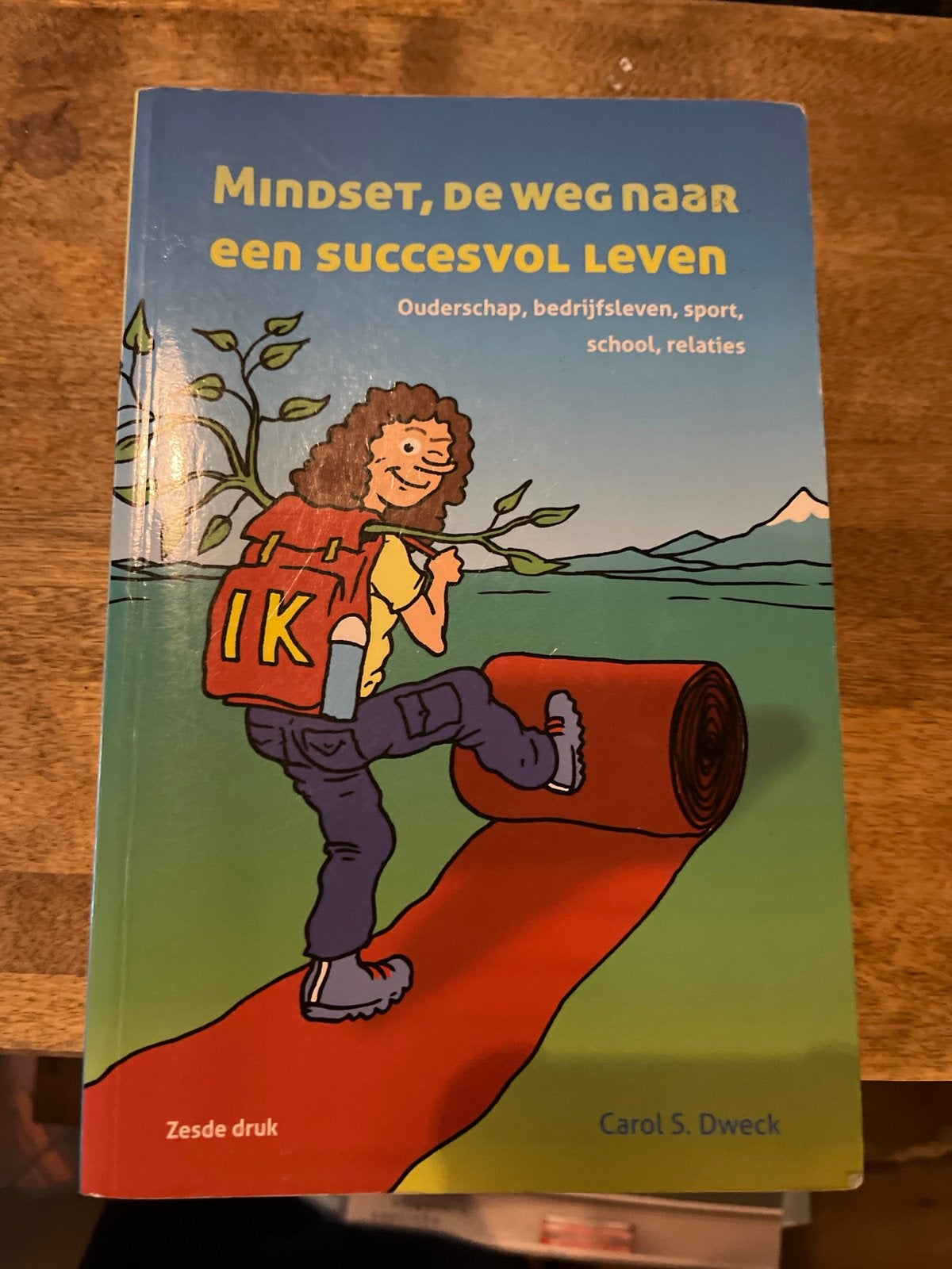 Mindset, de weg naar een succesvol leven - Carol S. Dweck, Ophalen of Verzenden, Gelezen