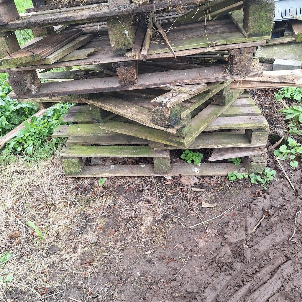 Brandhout gratis, Tuin en Terras, Haardhout, Minder dan 3 m³, Ophalen of Verzenden