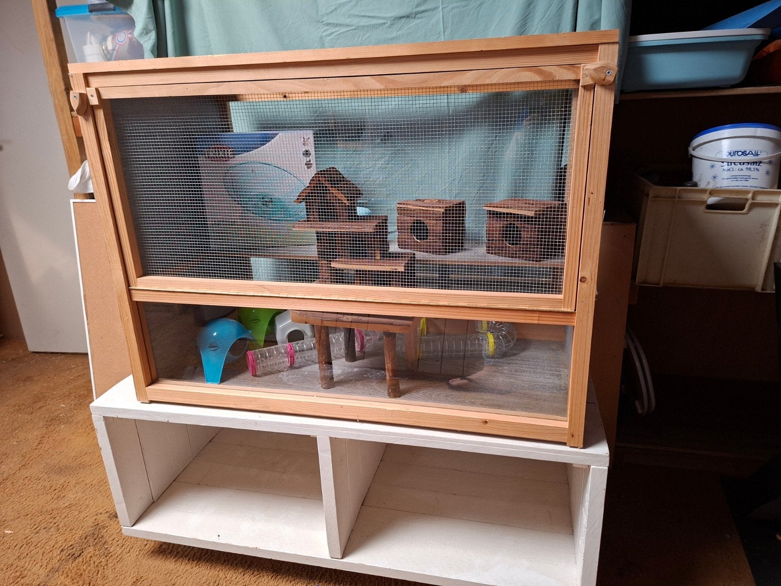 Hamsterkooi/ Muizenkooi compleet ingericht, Ophalen, Kooi, Hamster, Minder dan 60 cm