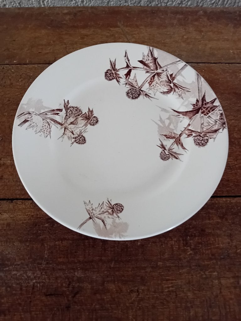 Petrus Regout bord , rond 1883 ,Distel, Ophalen of Verzenden