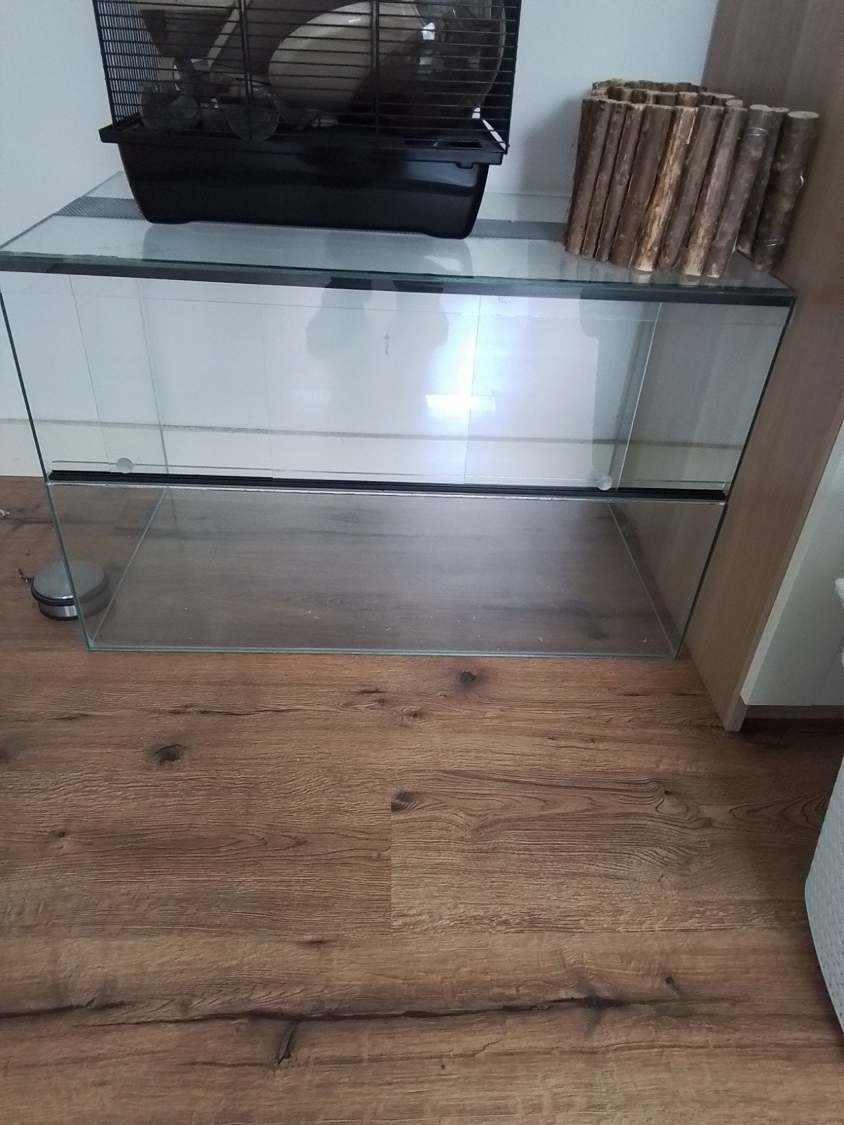glazen bak 80x45x50, Dieren en Toebehoren, Knaagdieren en Konijnen | Hokken en Kooien, Gebruikt, Muis, Hok, 75 tot 110 cm