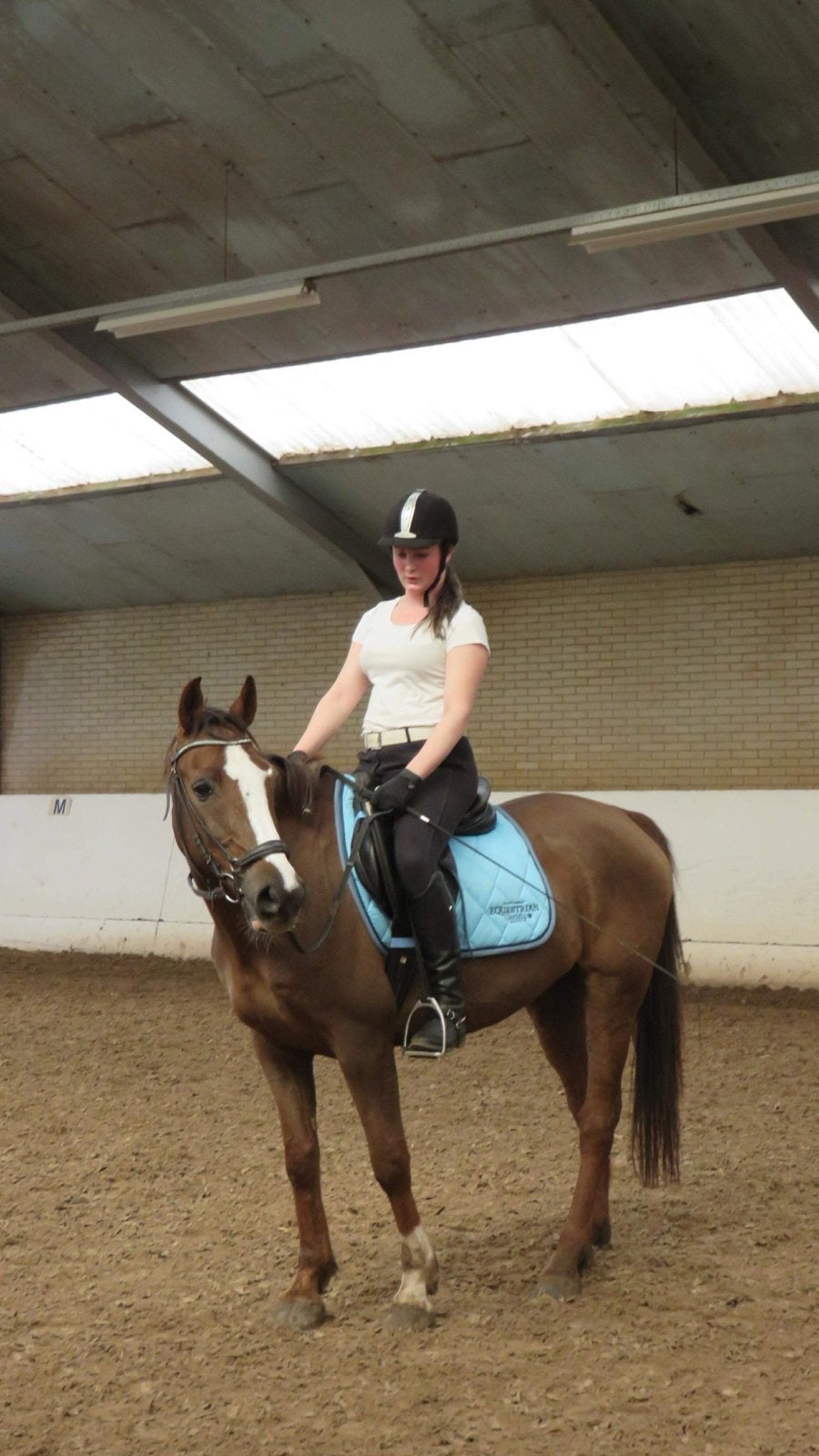 Verzorgpaard gezocht/ verzorgster aangeboden, Dieren en Toebehoren, Paarden en Pony's | Verzorgingsproducten, Ophalen