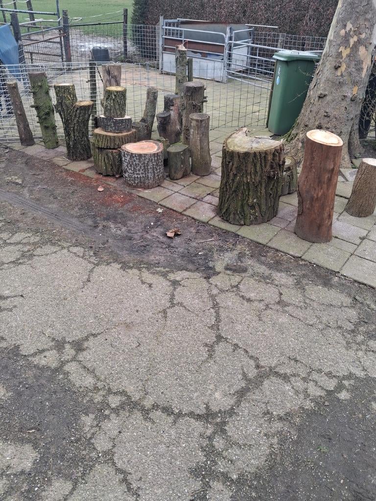 Hakblok ,spijkerblok ,boomstam , sierblok, Ophalen of Verzenden, Nieuw, Minder dan 10 meter, Overige typen