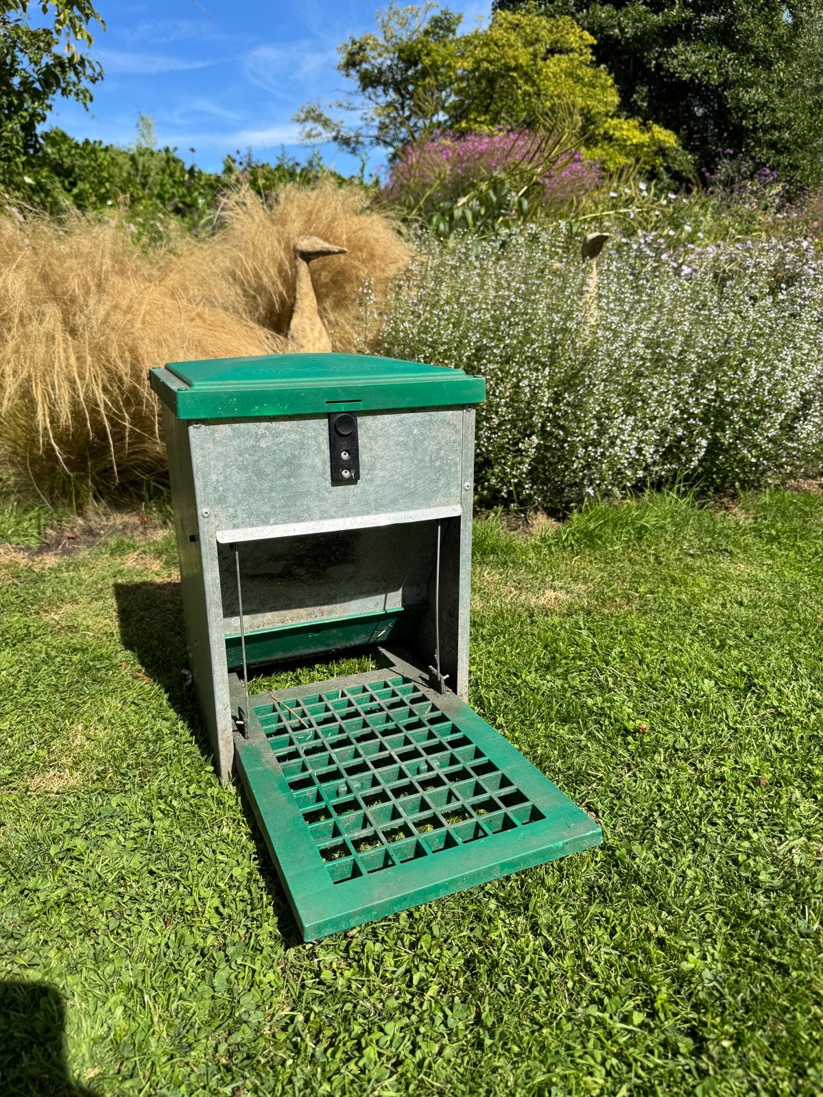 Feed o matic - voederbak pluimvee -, Ophalen, Drinken en Voederen