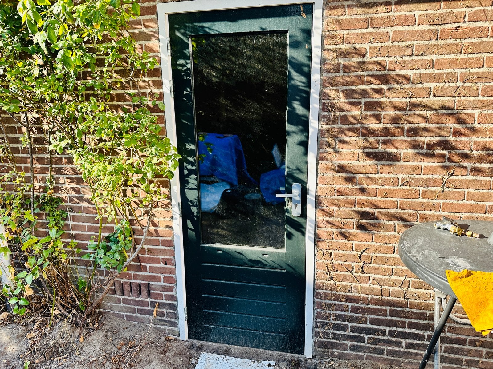 Gebruikte Buitendeur met Glas - Groen (210x80 cm), Ophalen, Gebruikt, 80 tot 100 cm, Buitendeur