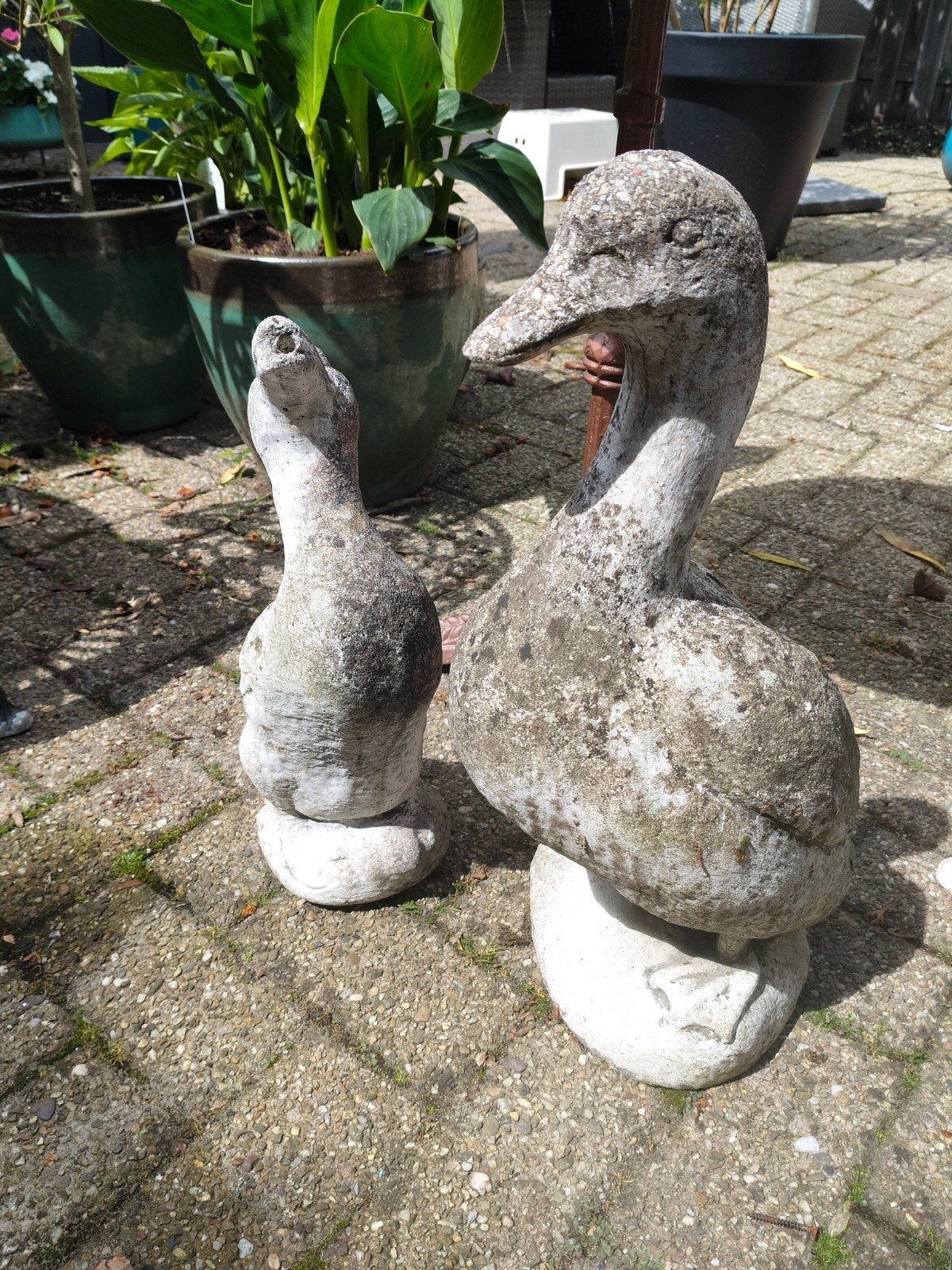Ganzen beelden van beton tuinbeelden, Ophalen, Gebruikt, Beton, Dierenbeeld