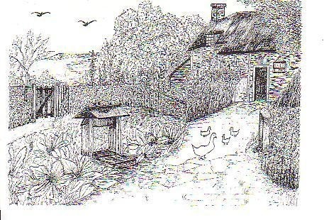 Ansichtkaart 	Huis met tuin	Tek J Sinke - Kruiningen, Verzenden, 1980 tot heden, Ongelopen, Gebouw