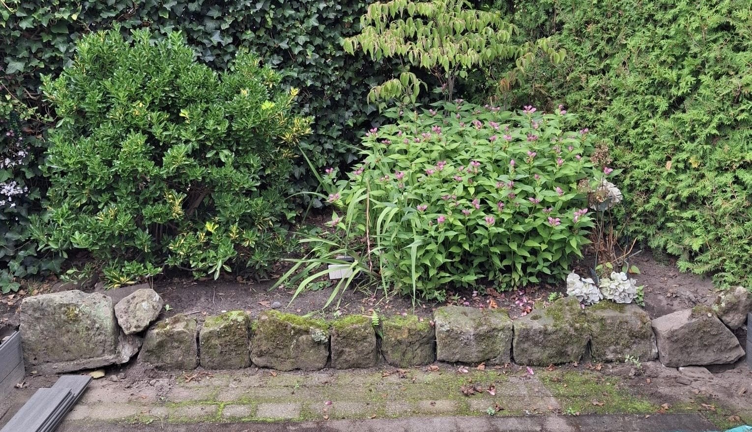 Gratis af te halen: Bentheimer kalkzandstenen (12 stuks), Ophalen, Gebruikt