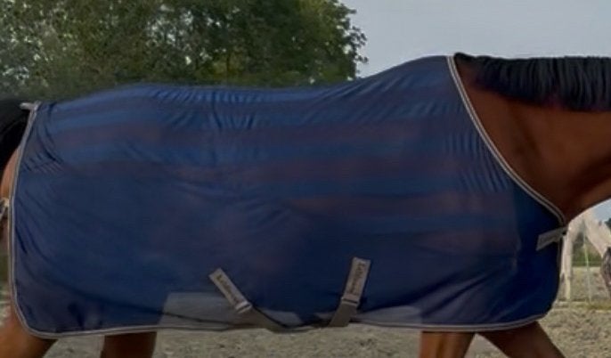 Lemieux Afrika air tek deken 6.0 185, Dieren en Toebehoren, Paarden en Pony's | Dekens en Dekjes, Zo goed als nieuw, Blauw, Deken