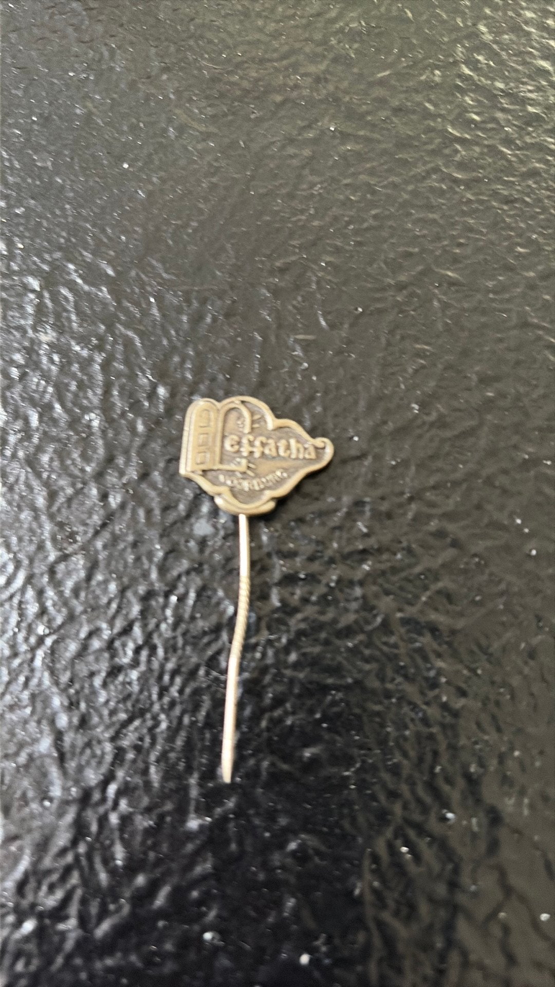 Vintage steekspeld Effatha Voorburg, Ophalen of Verzenden, Gebruikt, Overige onderwerpen, Speldje of Pin