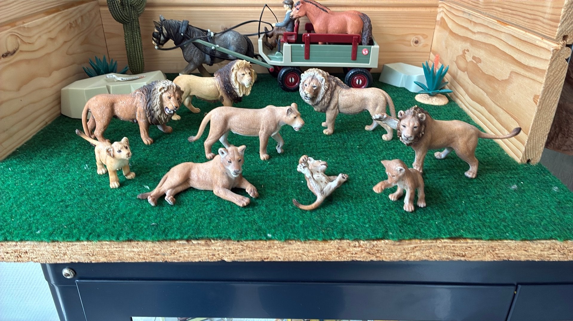 Schleich leeuwen, Ophalen of Verzenden, Zo goed als nieuw, Paard, Beeldje of Figuurtje