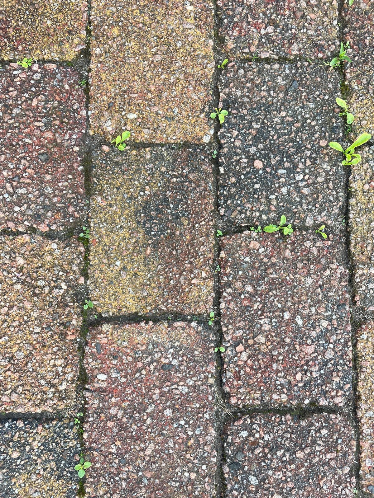 Veelkleurige terrasklinkers 15x20cm, Tuin en Terras, Tegels en Klinkers, Ophalen, Beton, Klinkers