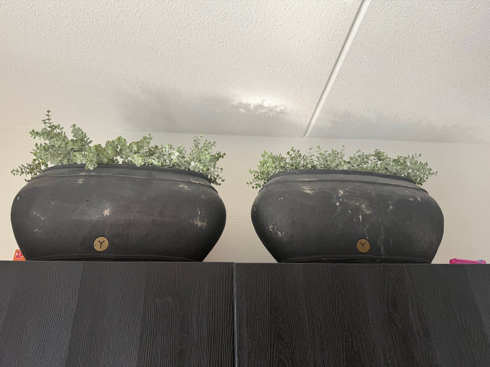 2x Kunstplant in zwarte pot, onderhoudsvrij, Ophalen, Binnen, Kunstplant, Kunststof
