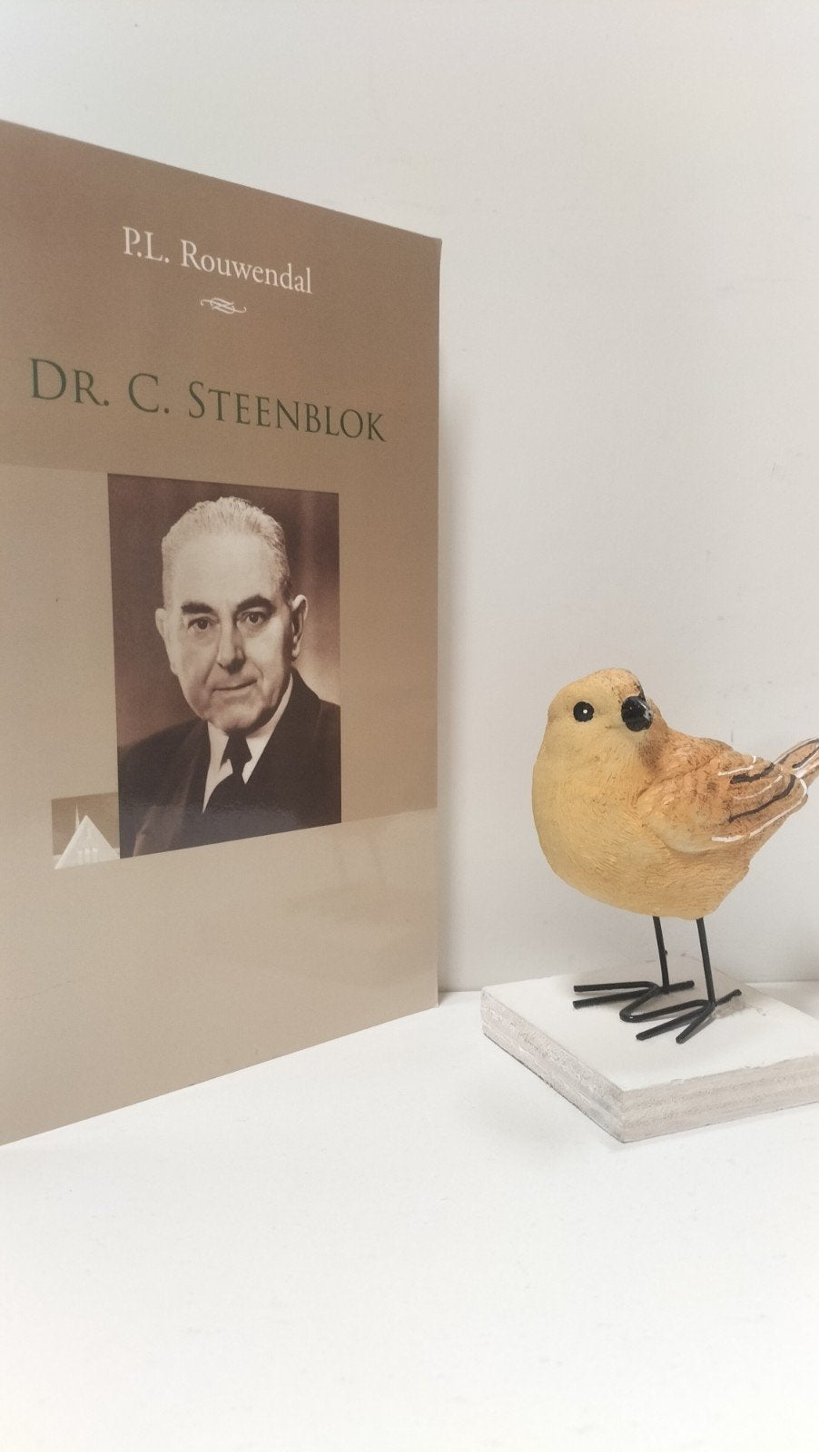 Rouwendal, P.L.; Dr. C. Steenblok, Boeken, Ophalen of Verzenden, Gelezen, Christendom | Protestants
