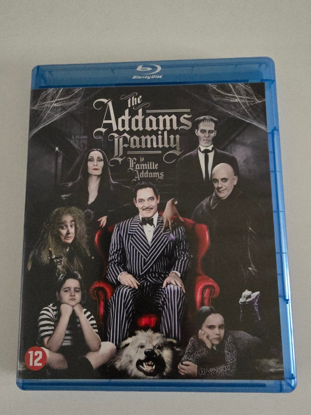 Blu-ray the Addams family, Nederlands, Film, Science Fiction en Fantasy, Ophalen of Verzenden