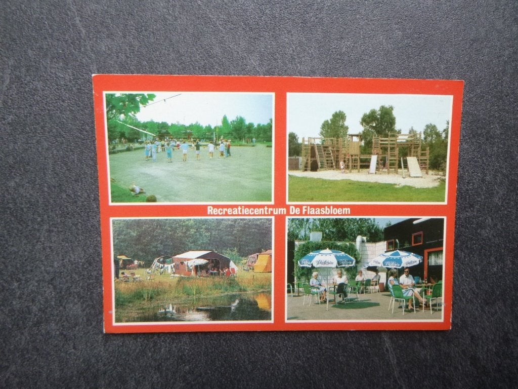 Chaam, de Flaasbloem  tekst/terras 1988, Verzenden, 1980 tot heden, Gelopen, Noord-Brabant