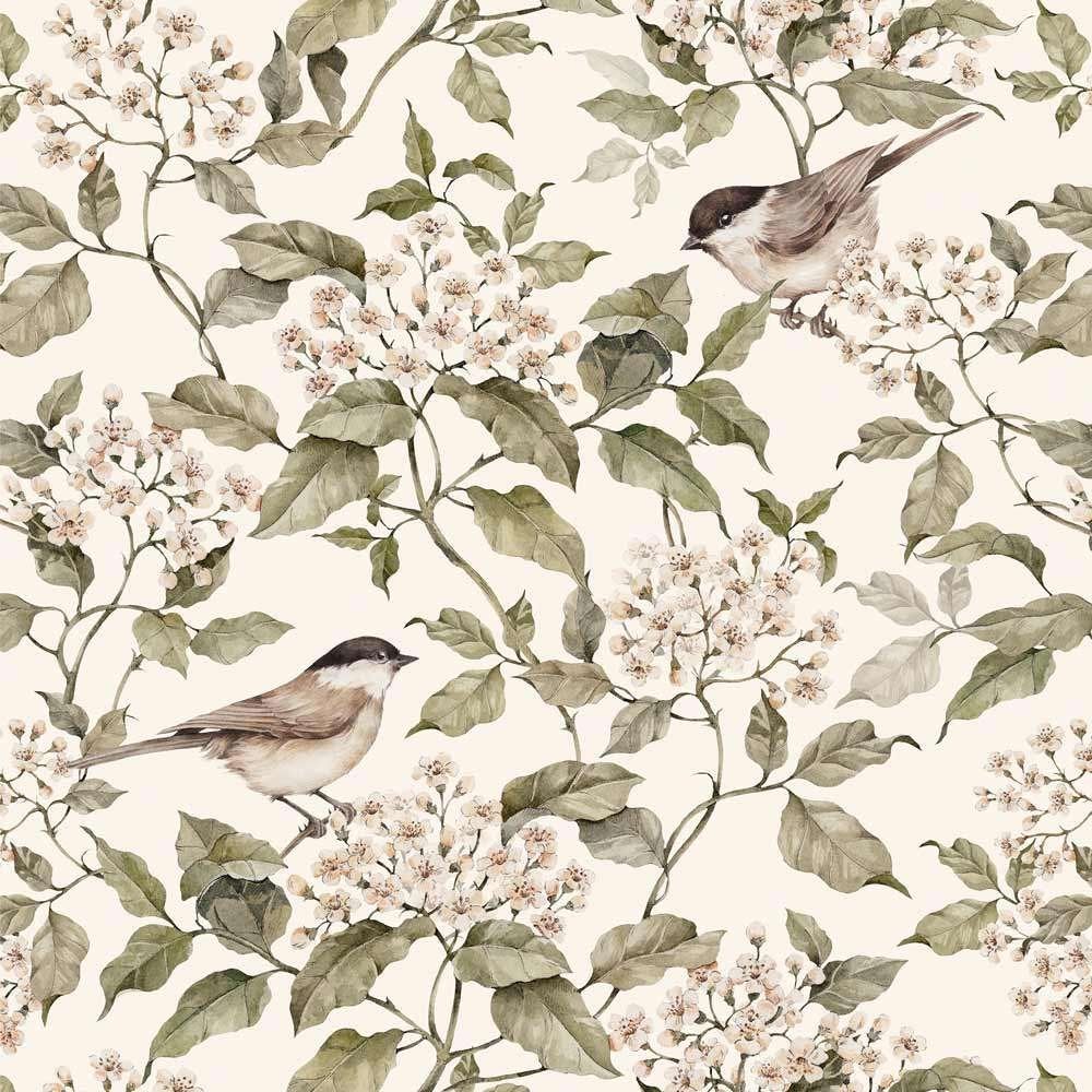 Kinderbehang Behang Vogels Birds Spring Beige Dekornik, Wodzirejow 5a, 02-824 Warsaw, Poland, Beige, Ophalen of Verzenden, Dekornik