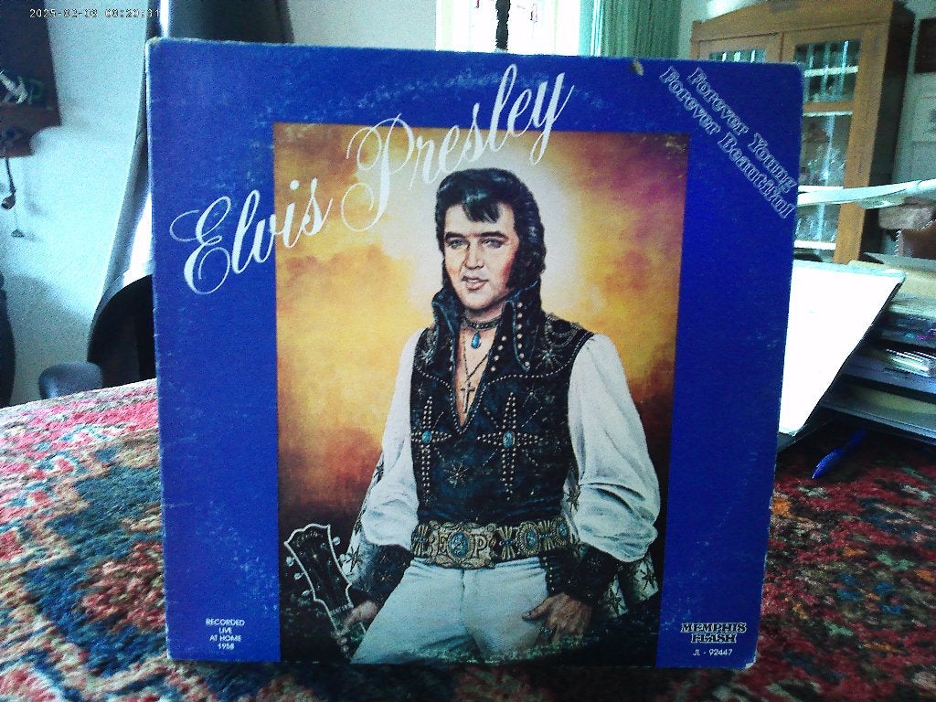 ELVIS PRESLEY, Ophalen of Verzenden, Zo goed als nieuw, 12 inch