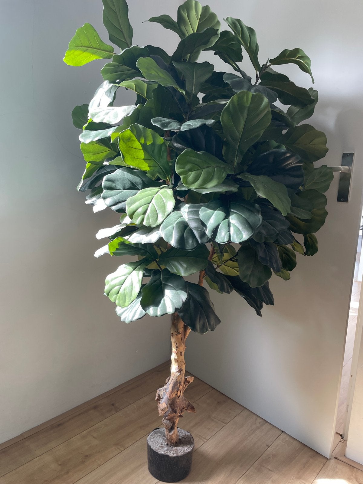Luxe Kunstplant: Realistische Vioolbladplant - Nep maar Echt, Binnen, Groen, Kunstplant, Ophalen of Verzenden