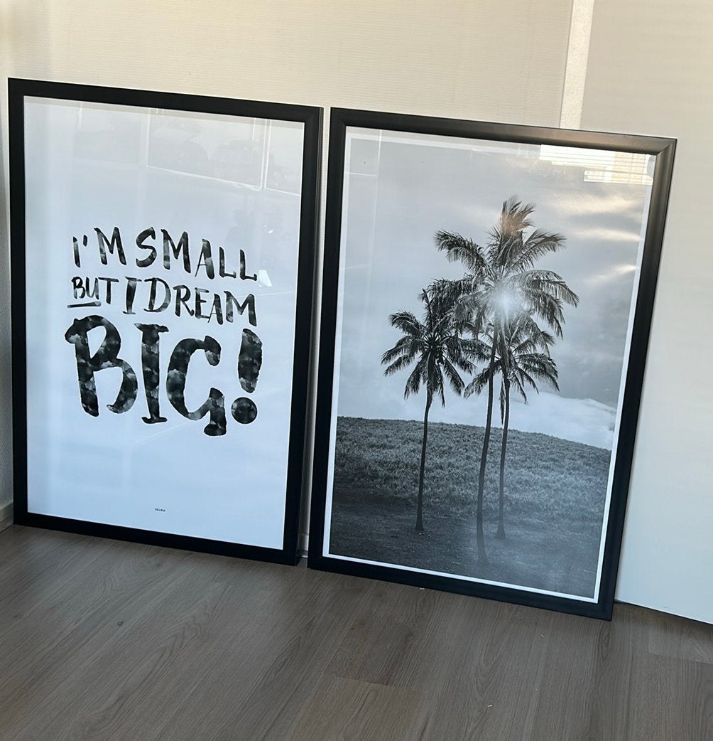 2 lijsten met poster, Ophalen, Fotolijst, 97 cm, Met clips