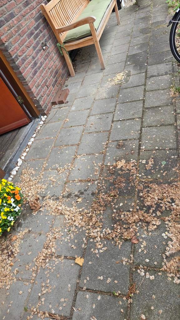 Gratis af te halen stoeptegels en klinkers, Ophalen, Gebruikt, Beton, Klinkers