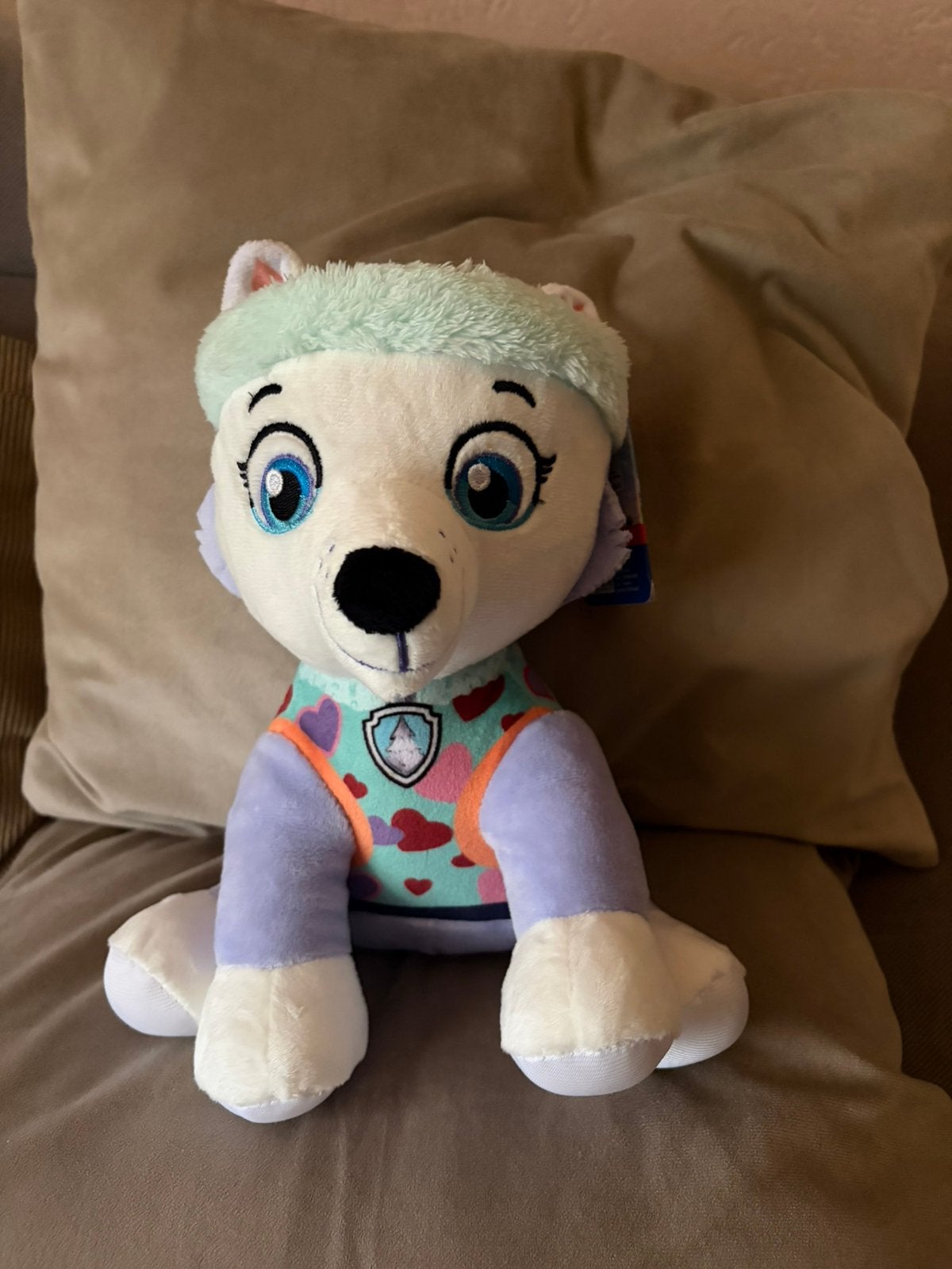 Paw Patrol knuffel Everest, Paw Patrol, Ophalen, Nieuw, Hond