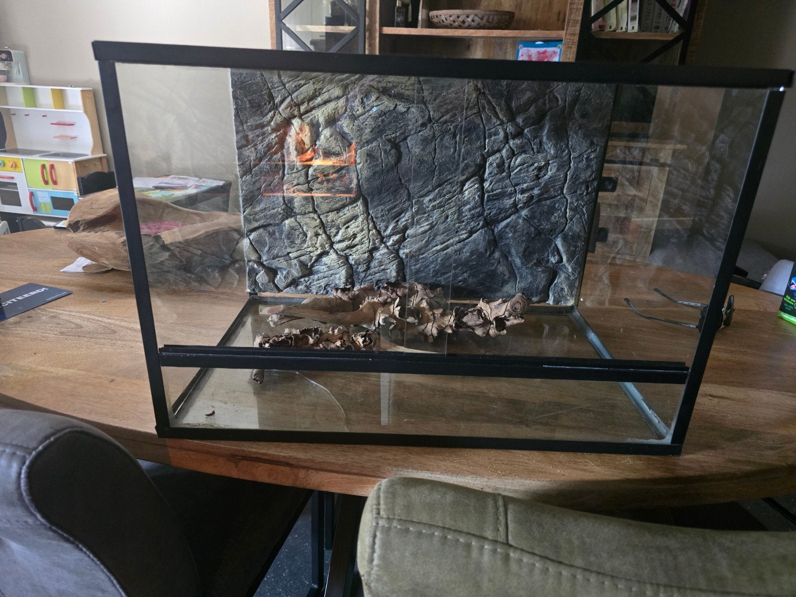 terrarium 60x40x40, Ophalen, Gebruikt, Terrarium of Paludarium