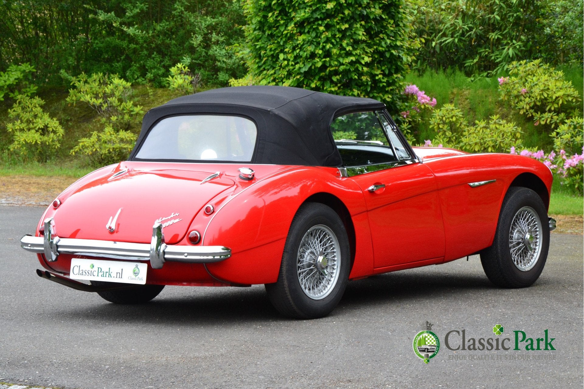 Austin Healey 3000 MK II A (bj 1962), foto 10