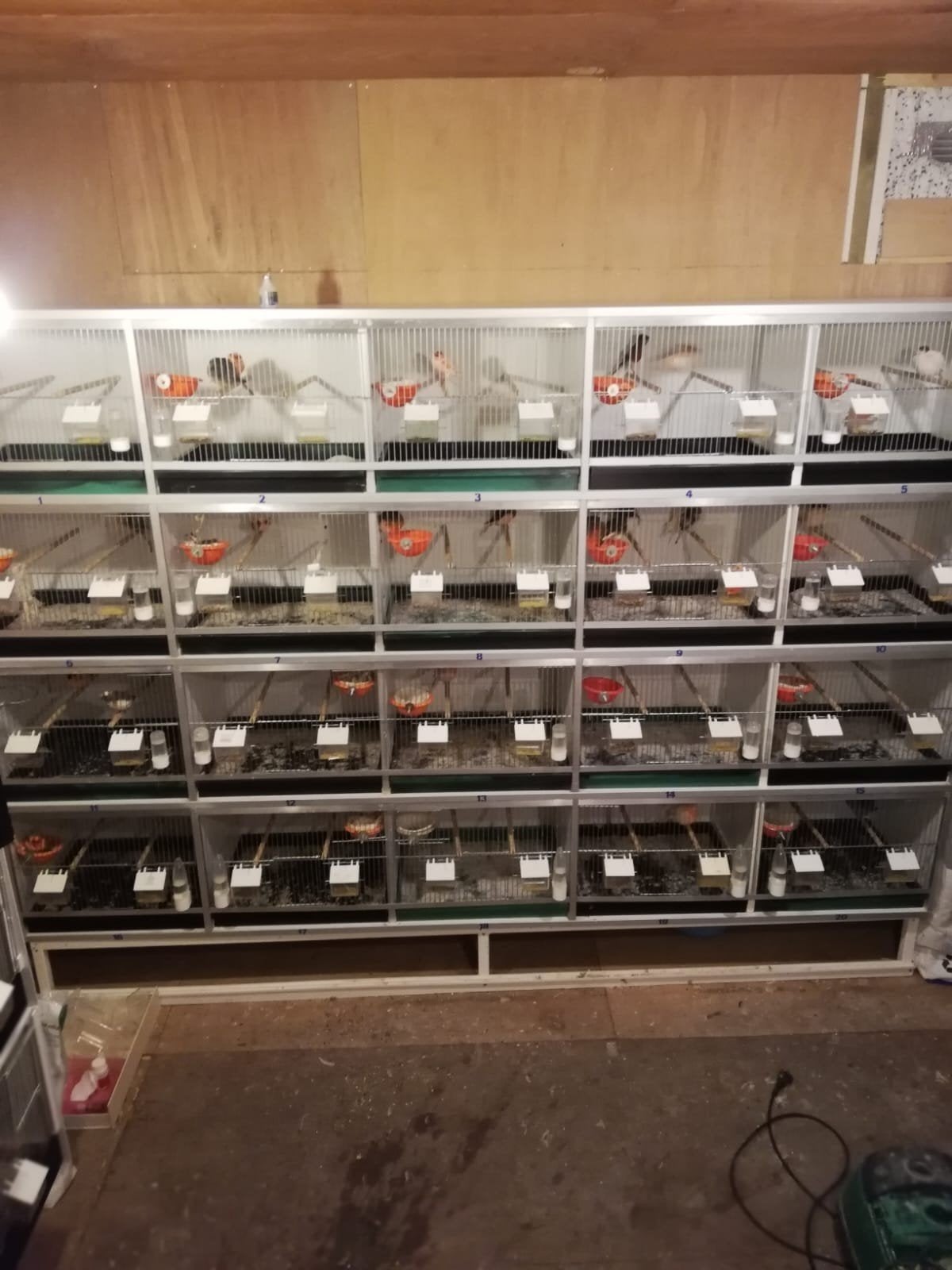 vqn Keulen kweekkooien stelling met waterschade, Dieren en Toebehoren, Ophalen of Verzenden, Gebruikt, Overige materialen, Broedkooi of Kweekkooi