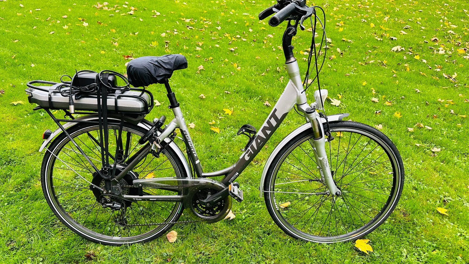 Goede Goed werkende  unisex damesfiets E-bike Giant 51cm, Ophalen, Versnellingen, Giant, Zo goed als nieuw