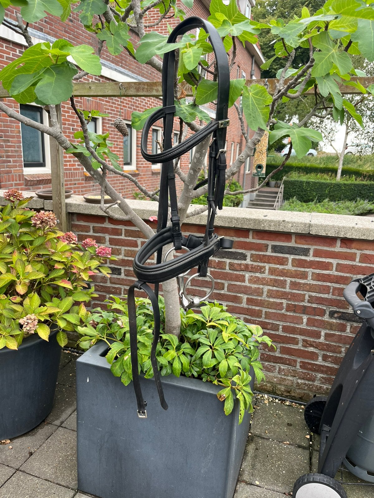 Stübben hoofdstel Full met bit, Ophalen, Hoofdstel, Inclusief bit, Stübben