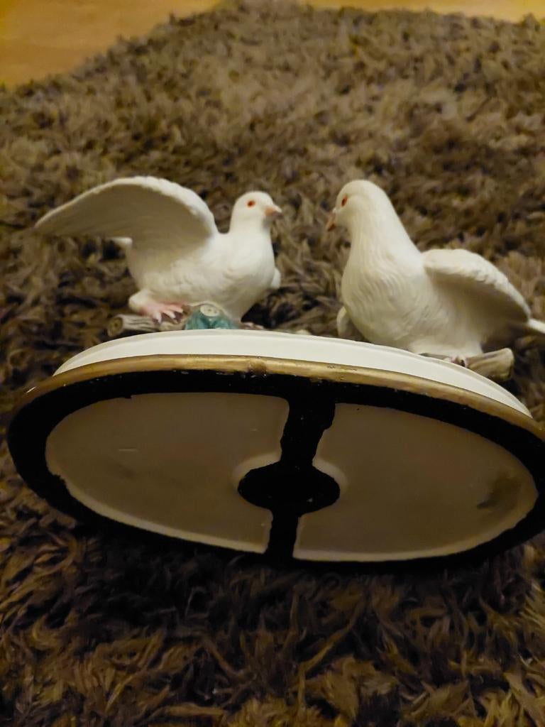 Prachtig duiven beeld, Ophalen