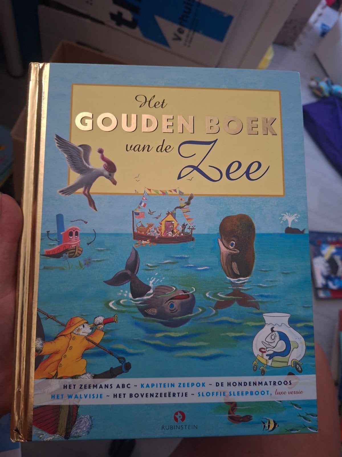 Het Gouden Boek van de Zee - Luxe Versie, 190 pagina's, Gelezen, Voorleesboek, Jongen of Meisje, Ophalen of Verzenden