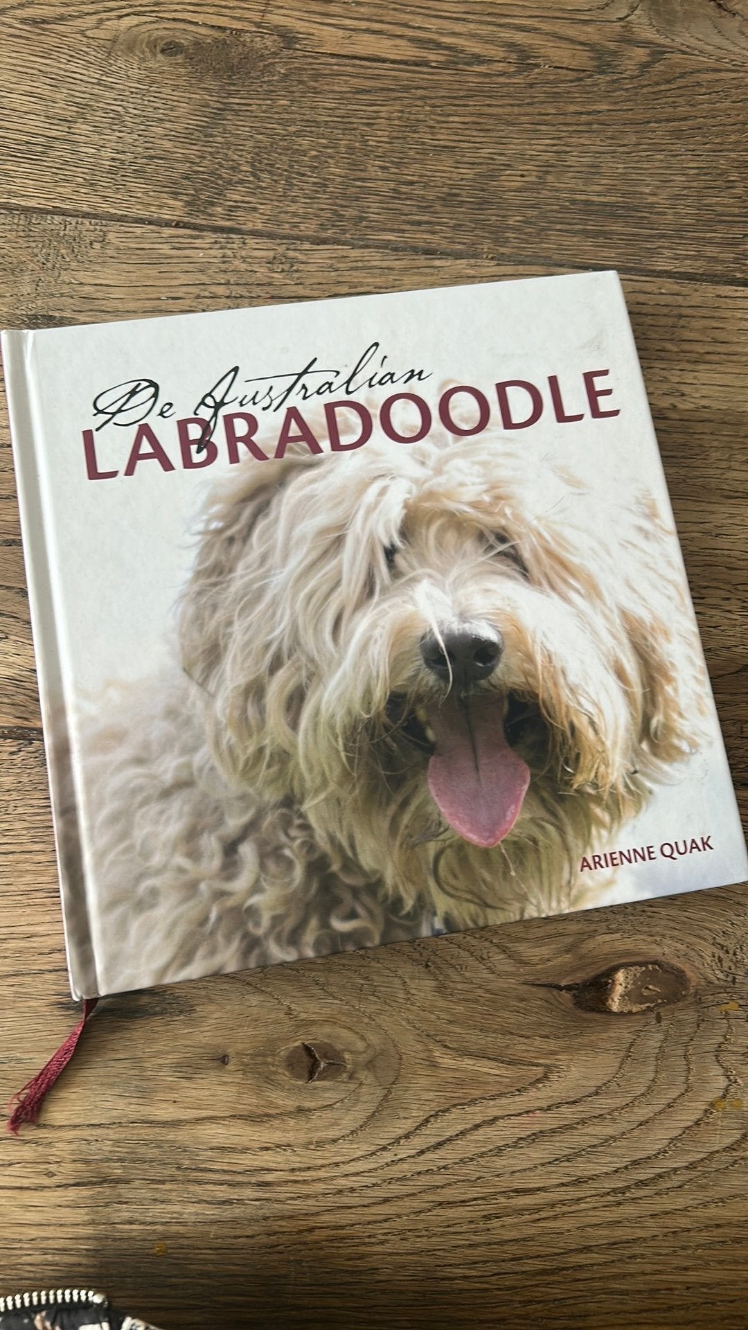 Boek Australian Labradoodle, Ophalen of Verzenden, Zo goed als nieuw, Paarden of Pony's
