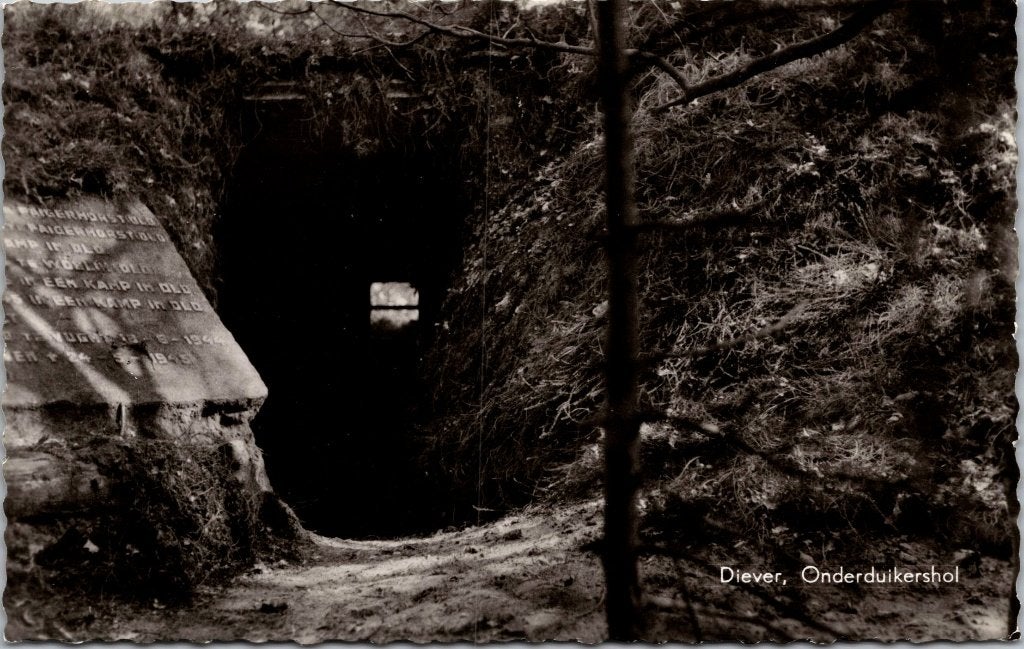 Diever - 10 ansichtkaarten, Verzenden, 1960 tot 1980, Gelopen, Drenthe