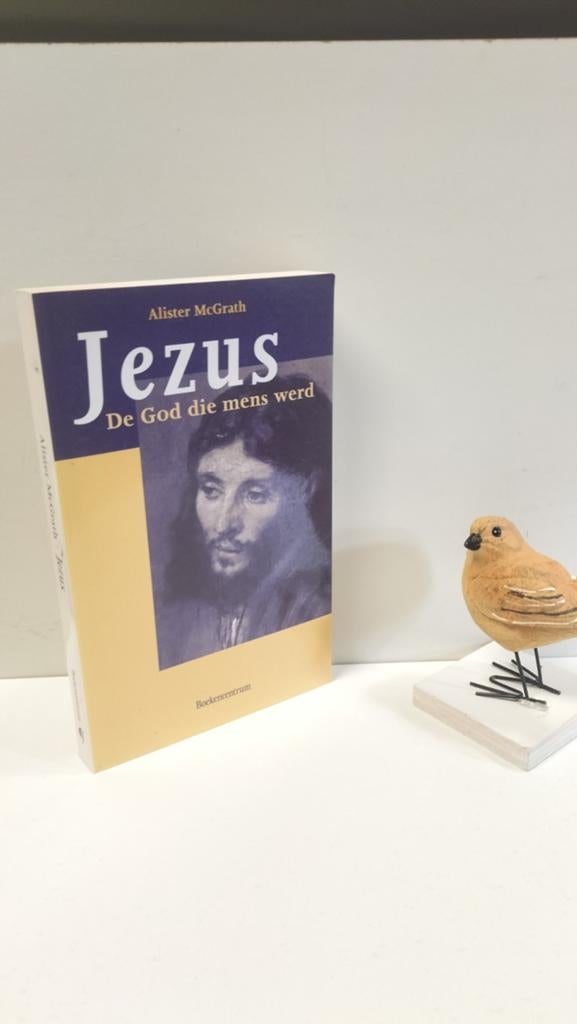 McGrath, Alister; Jezus de God die mens werd, Ophalen of Verzenden, Gelezen, Christendom | Protestants