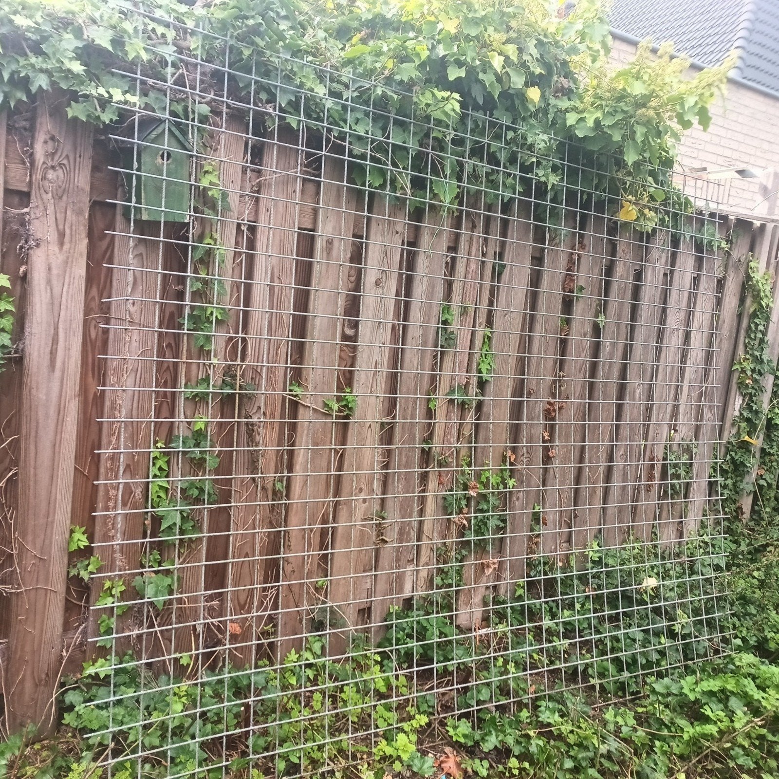 Stevig metalen gaas voor tuin of omheining, Tuin en Terras, Ophalen, Nieuw, Minder dan 10 meter, Raster